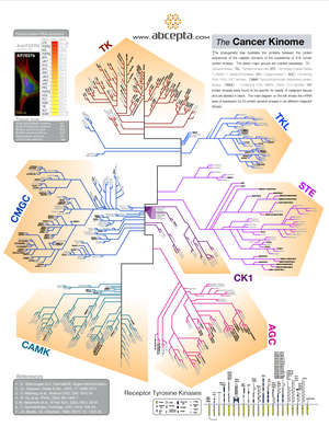 CancerKinome