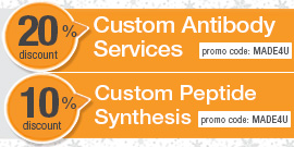 Custom Services Promotion