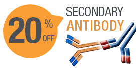 20 % off Secondary Antibodies