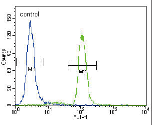 FC - PI3KCA Antibody (C-term) AP8016B