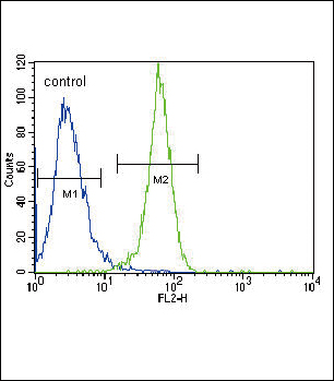 FC - PGK1 Antibody (Center) AP7094b