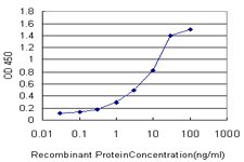 E - FBXO8 Antibody (monoclonal) (M01) AT2022a