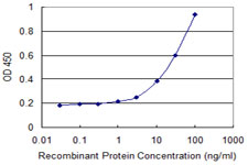 E - HAPLN4 Antibody (monoclonal) (M12) AT2316a