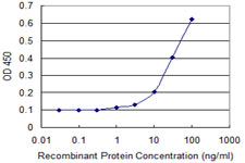 E - HOP Antibody (monoclonal) (M01) AT2401a