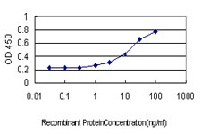 E - IGSF6 Antibody (monoclonal) (M01) AT2495a