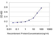E - KPTN Antibody (monoclonal) (M01) AT2649a