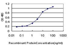 E - MPG Antibody (monoclonal) (M07) AT2888a