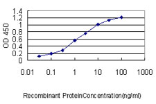E - MPP3 Antibody (monoclonal) (M01) AT2895a