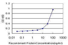 E - MT Antibody (monoclonal) (M01) AT2921a