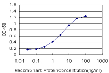 E - NDOR1 Antibody (monoclonal) (M01) AT2990a