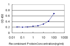 E - NR0B2 Antibody (monoclonal) (M01) AT3092a