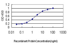 E - PFN2 Antibody (monoclonal) (M04) AT3274a