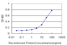 E - PL6 Antibody (monoclonal) (M01) AT3326a
