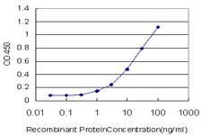 E - PLA2G12A Antibody (monoclonal) (M01) AT3327a