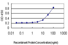 E - POGK Antibody (monoclonal) (M01) AT3364a