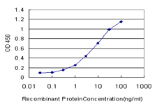 E - POLR1C Antibody (monoclonal) (M05) AT3373a