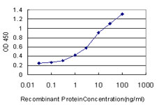 E - PPIL2 Antibody (monoclonal) (M02) AT3404a