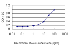 E - PX19 Antibody (monoclonal) (M01) AT3504a