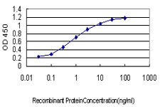E - SALF Antibody (monoclonal) (M01) AT3768a
