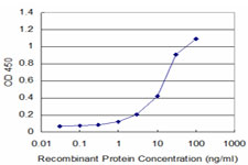 E - SEP11 Antibody (monoclonal) (M02) AT3812a