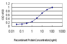 E - SPRY2 Antibody (monoclonal) (M01) AT4032a