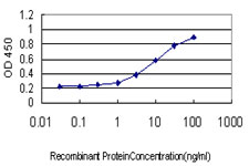 E - SSBP3 Antibody (monoclonal) (M01) AT4044a