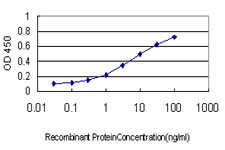 E - SSR4 Antibody (monoclonal) (M01) AT4047a