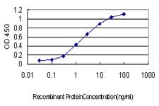 E - STAC Antibody (monoclonal) (M01) AT4054a
