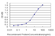 E - STX6 Antibody (monoclonal) (M01) AT4099a