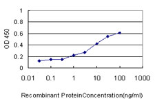 E - TAF1A Antibody (monoclonal) (M01) AT4143a