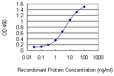 E - TIPIN Antibody (monoclonal) (M01) AT4247a