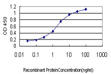 E - UBE2E2 Antibody (monoclonal) (M01) AT4434a