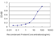 E - UGT2B10 Antibody (monoclonal) (M01) AT4460a