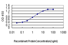 E - UNC5D Antibody (monoclonal) (M01) AT4472a