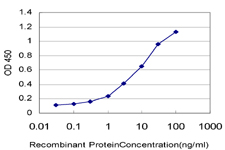 E - ZNF136 Antibody (monoclonal) (M03) AT4589a