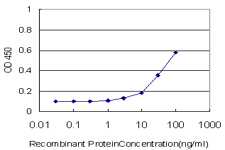 E - ZNF611 Antibody (monoclonal) (M04) AT4641a