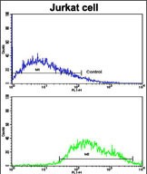FC - COG4 Antibody (C-term) AP7430b