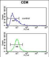 FC - FUT1 Antibody (Center) AP6573c