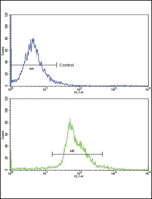 FC - PAX4 Antibody (Center) AP6690C