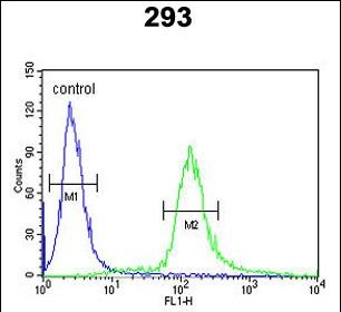FC - EPS8L3 Antibody (N-term) AP6911a