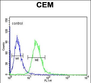 FC - EDIL3 Antibody (Center) AP9005c