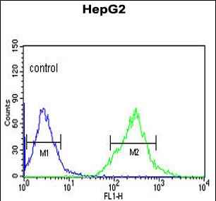 FC - AFMID Antibody (N-term) AP9175a