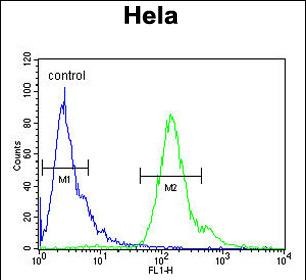 FC - MMGT1 Antibody (C-term) AP4731B