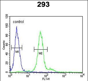 FC - DDX23 Antibody (Center) AP4866c