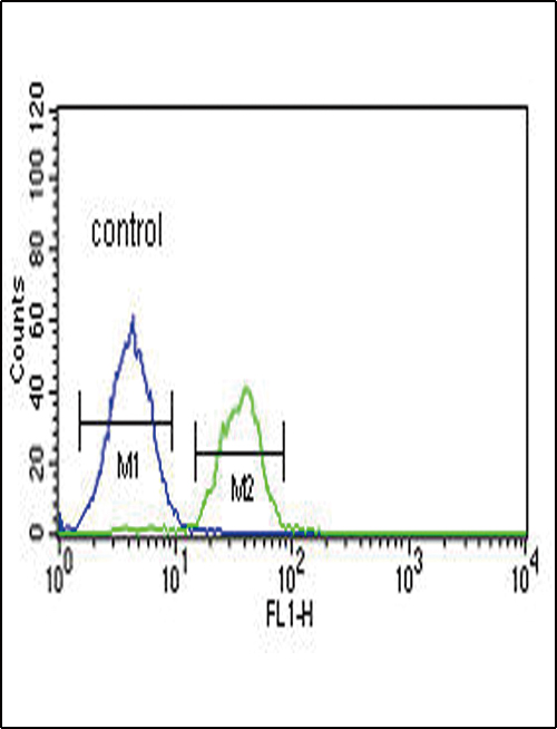 FC - LRRN3 Antibody (N-term) AP4916A