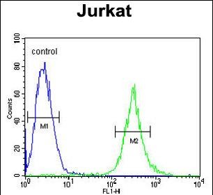 FC - APITD1 Antibody (Center) AP4921c