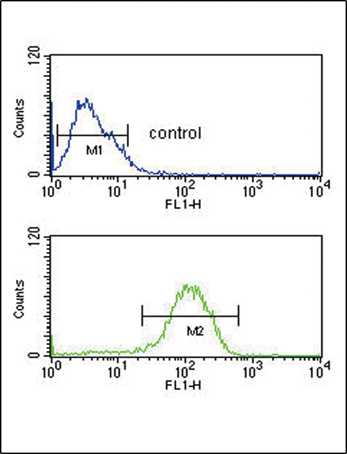 FC - PYY Antibody (C-term) AP5103B