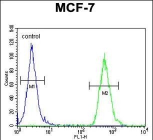 FC - TTPAL Antibody (C-term) AP5164b