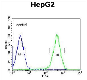 FC - ATXN2L Antibody (C-term) AP5183b