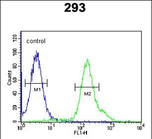 FC - ARMC5 Antibody (C-term) AP5400b